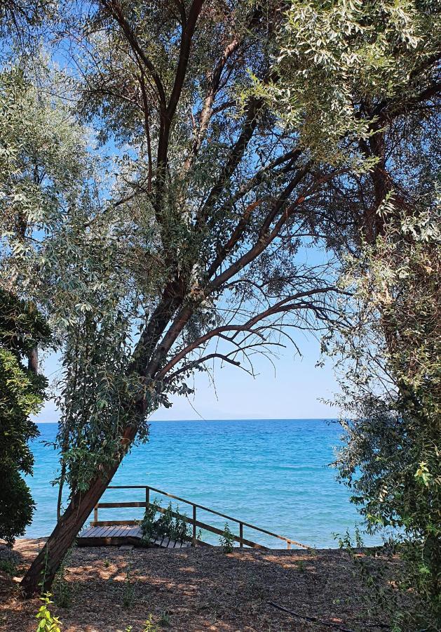 Villa Al-Ari Diakopto Bagian luar foto